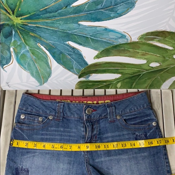 💥SEMINOLE SHORTS - Picture 4 of 6